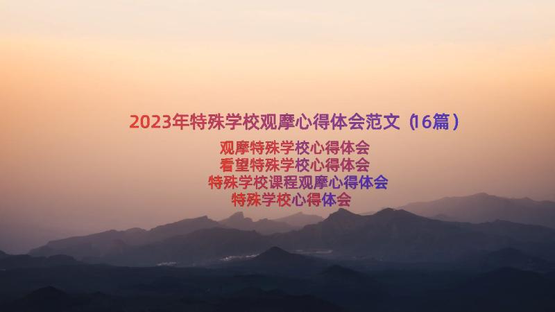 2023年特殊学校观摩心得体会范文（16篇）