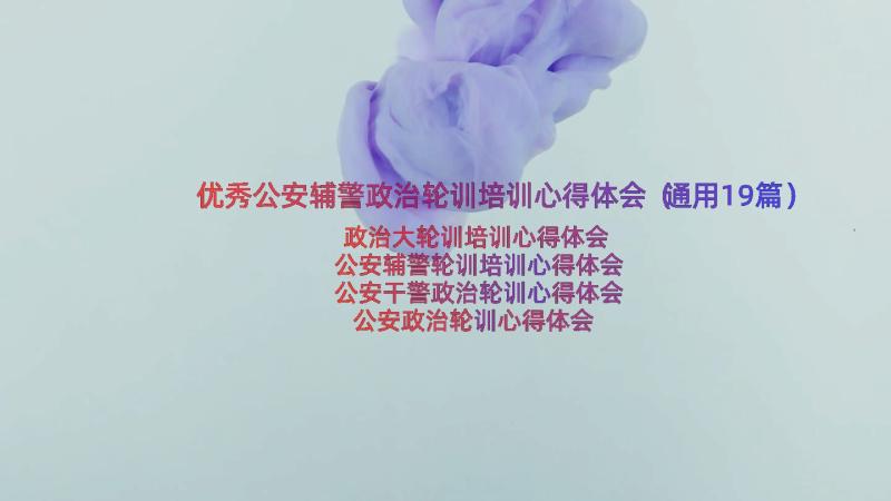 优秀公安辅警政治轮训培训心得体会（通用19篇）