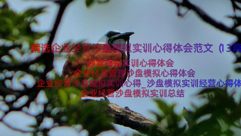 精选企业经营沙盘模拟实训心得体会范文（13篇）