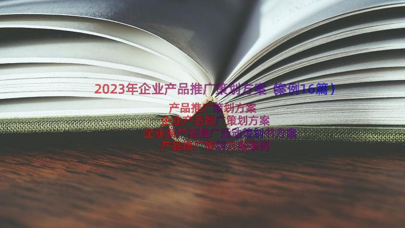 2023年企业产品推广策划方案（案例16篇）