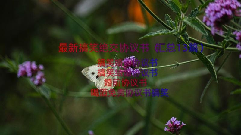 最新搞笑绝交协议书（汇总13篇）