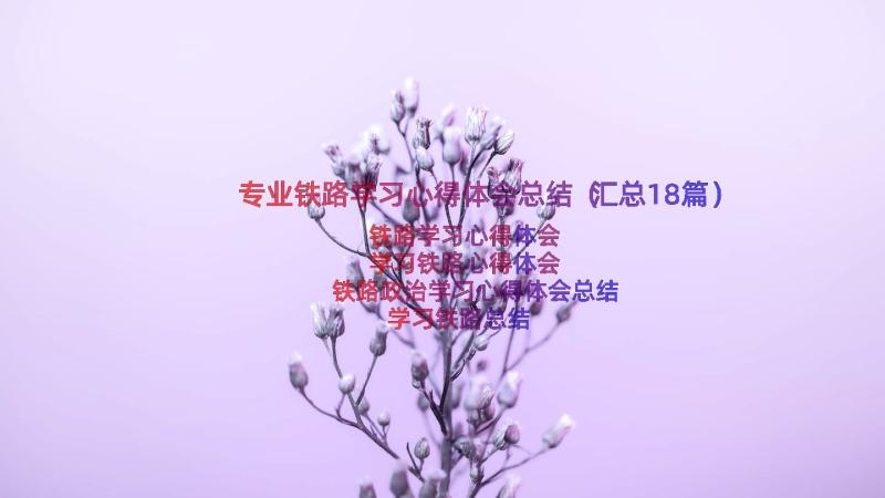 专业铁路学习心得体会总结（汇总18篇）