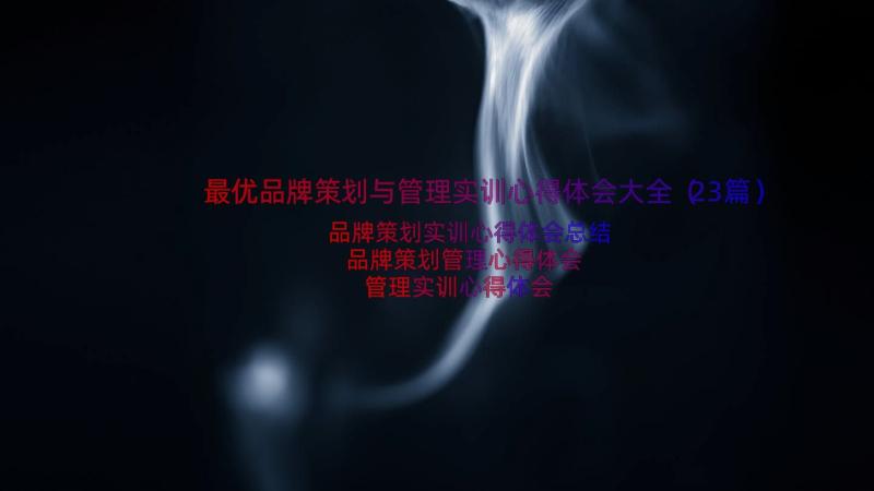 最优品牌策划与管理实训心得体会大全（23篇）