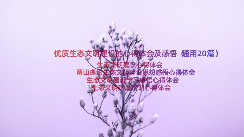 优质生态文明建设的心得体会及感悟（通用20篇）