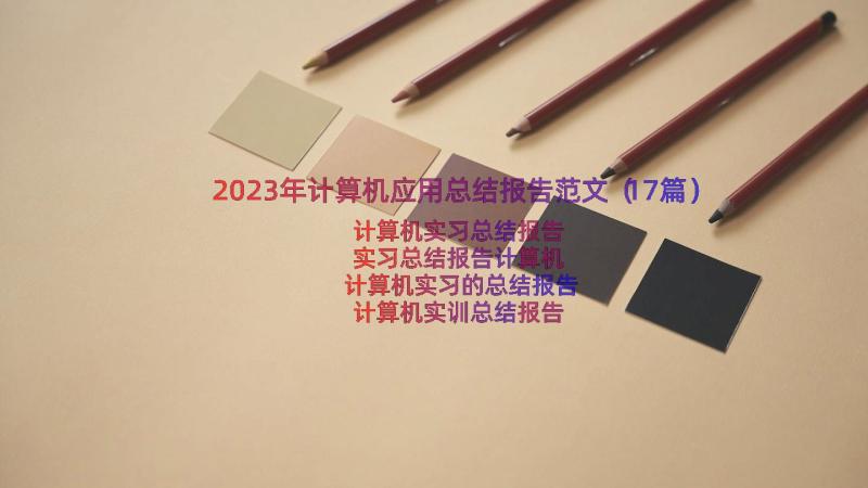 2023年计算机应用总结报告范文（17篇）