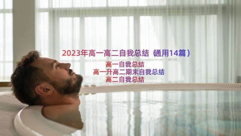 2023年高一高二自我总结（通用14篇）