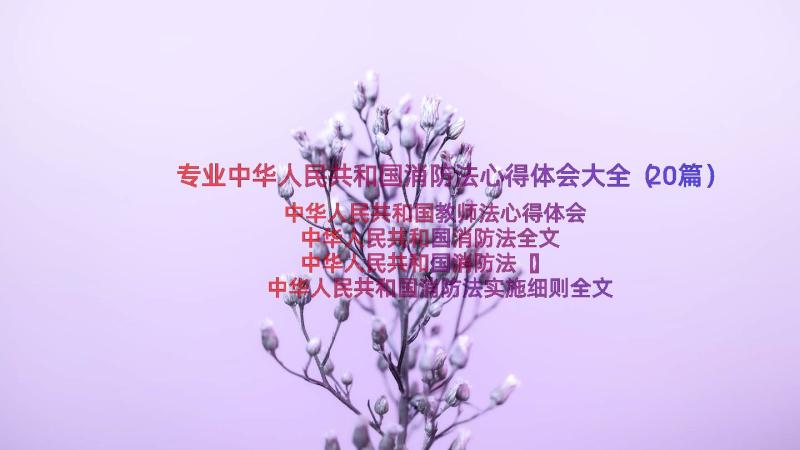 专业中华人民共和国消防法心得体会大全（20篇）