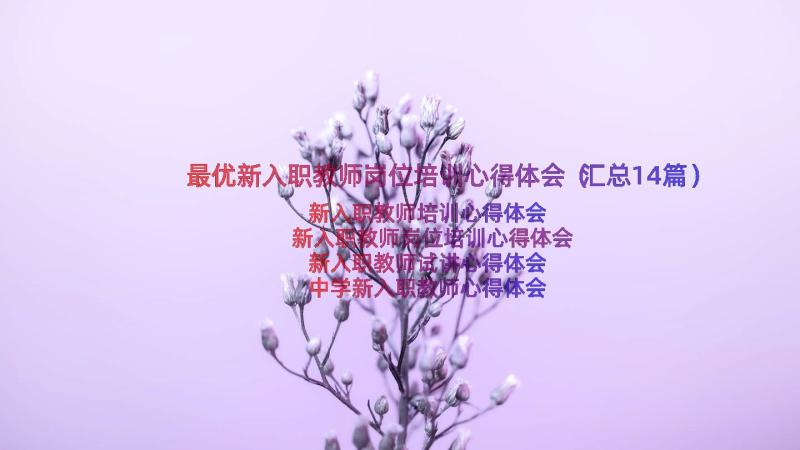 最优新入职教师岗位培训心得体会（汇总14篇）