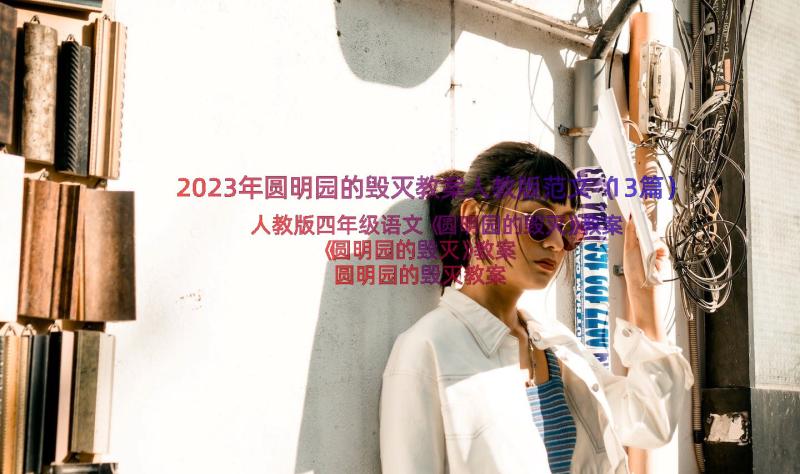 2023年圆明园的毁灭教案人教版范文（13篇）