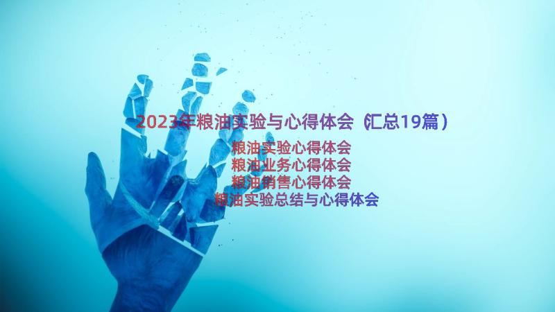 2023年粮油实验与心得体会（汇总19篇）