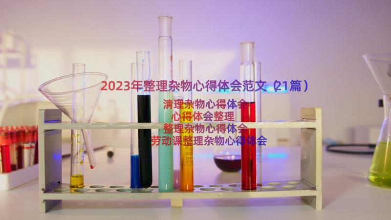 2023年整理杂物心得体会范文（21篇）