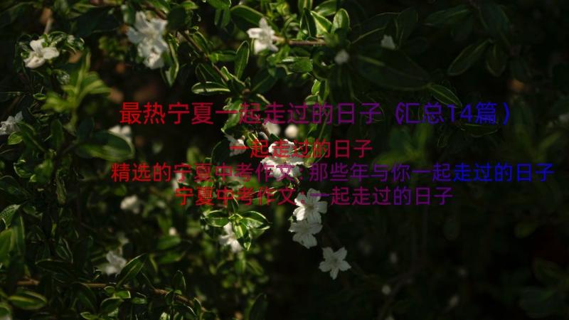 最热宁夏一起走过的日子（汇总14篇）