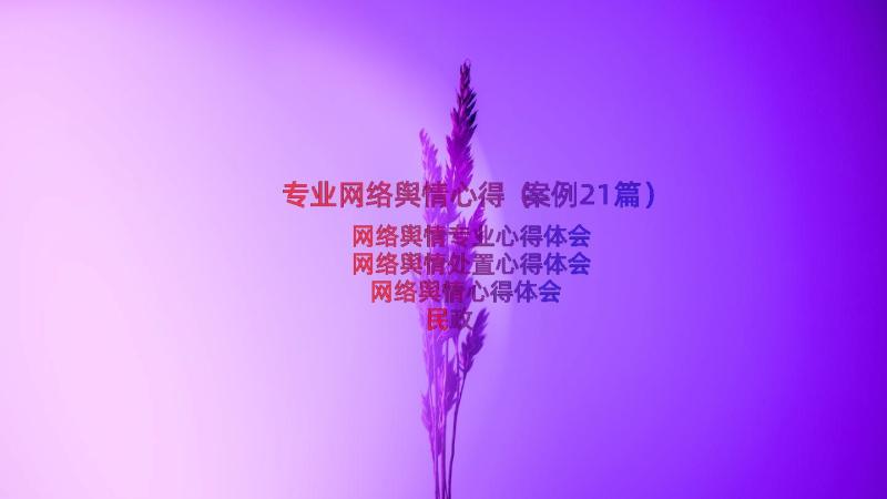 专业网络舆情心得（案例21篇）