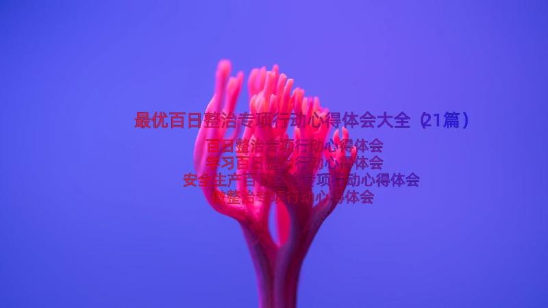 最优百日整治专项行动心得体会大全（21篇）