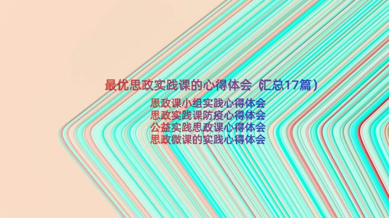 最优思政实践课的心得体会（汇总17篇）