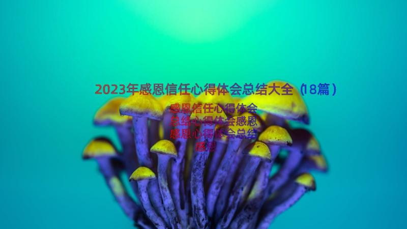 2023年感恩信任心得体会总结大全（18篇）