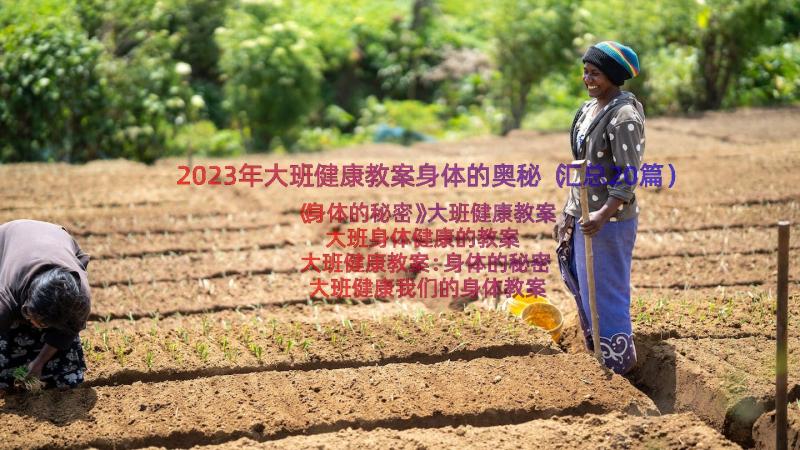 2023年大班健康教案身体的奥秘（汇总20篇）