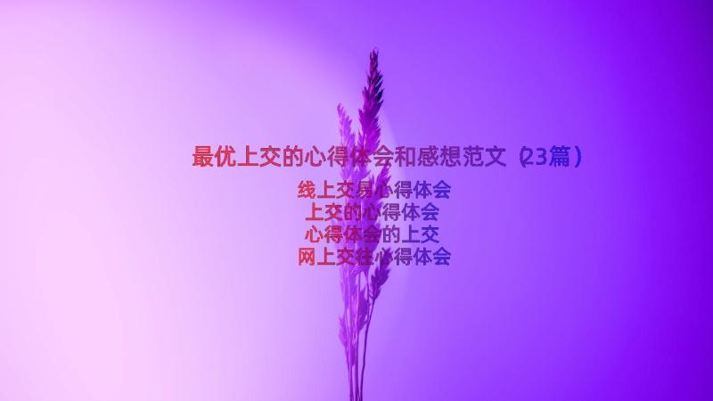 最优上交的心得体会和感想范文（23篇）