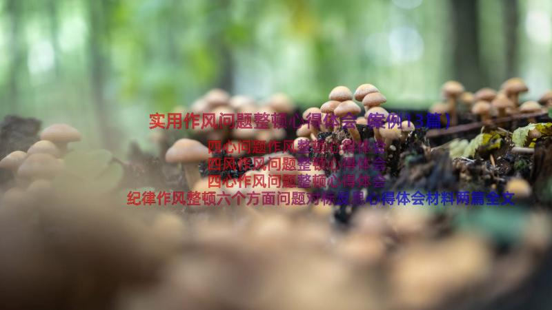 实用作风问题整顿心得体会（案例13篇）