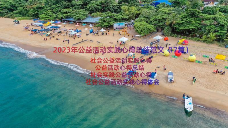 2023年公益活动实践心得总结范文（17篇）