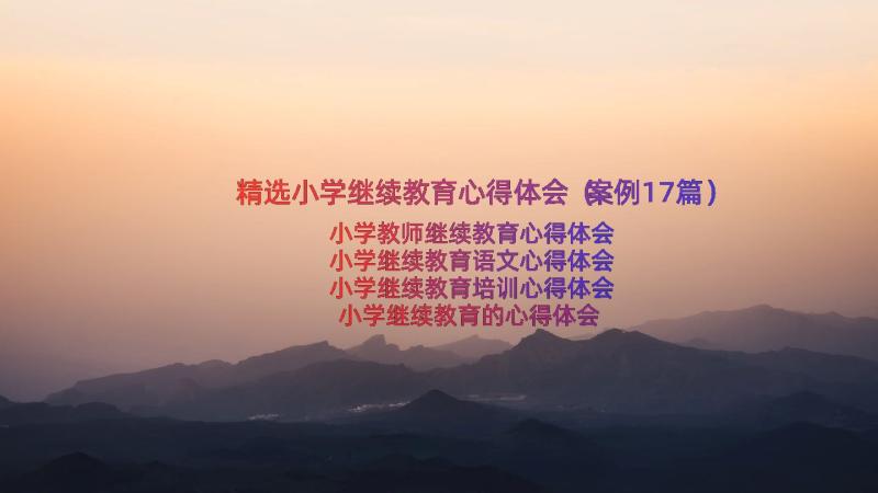 精选小学继续教育心得体会（案例17篇）