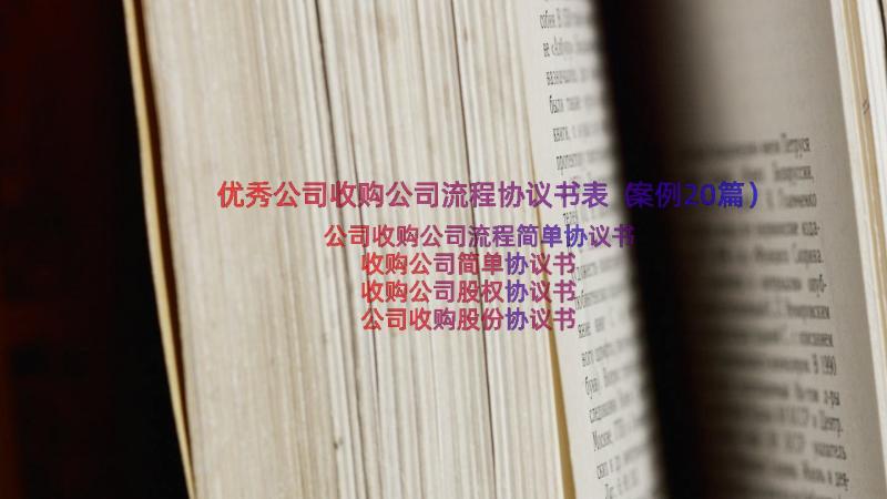 优秀公司收购公司流程协议书表（案例20篇）