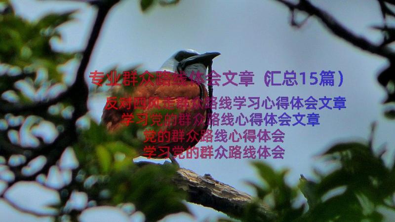 专业群众路线体会文章（汇总15篇）