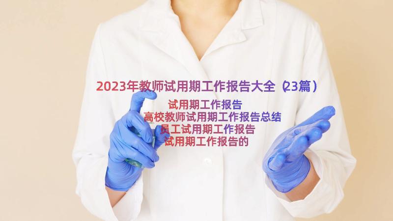 2023年教师试用期工作报告大全（23篇）