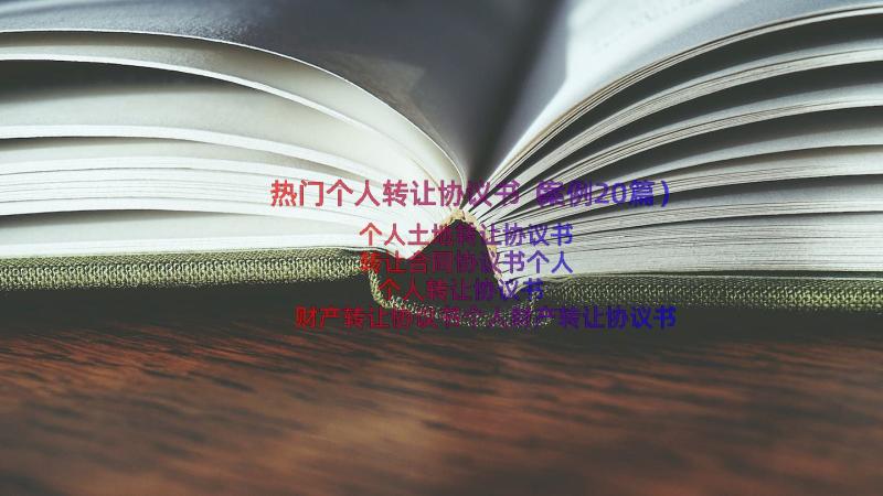 热门个人转让协议书（案例20篇）