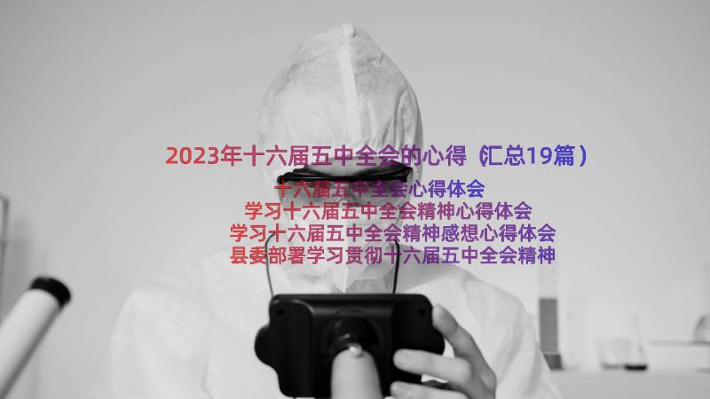 2023年十六届五中全会的心得（汇总19篇）