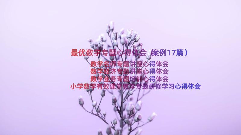 最优数学专题心得体会（案例17篇）