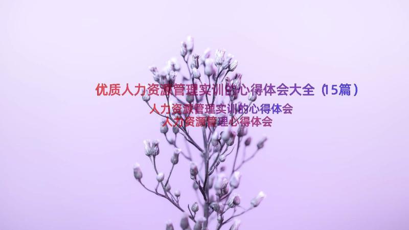 优质人力资源管理实训的心得体会大全（15篇）