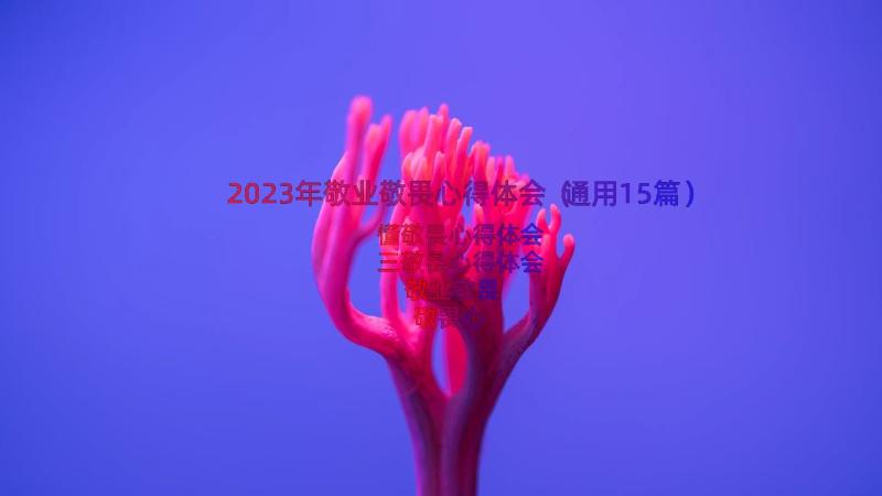 2023年敬业敬畏心得体会（通用15篇）