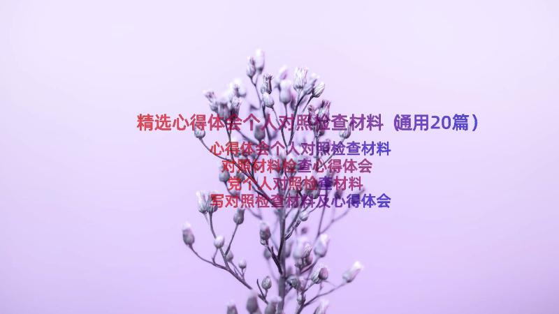 精选心得体会个人对照检查材料（通用20篇）