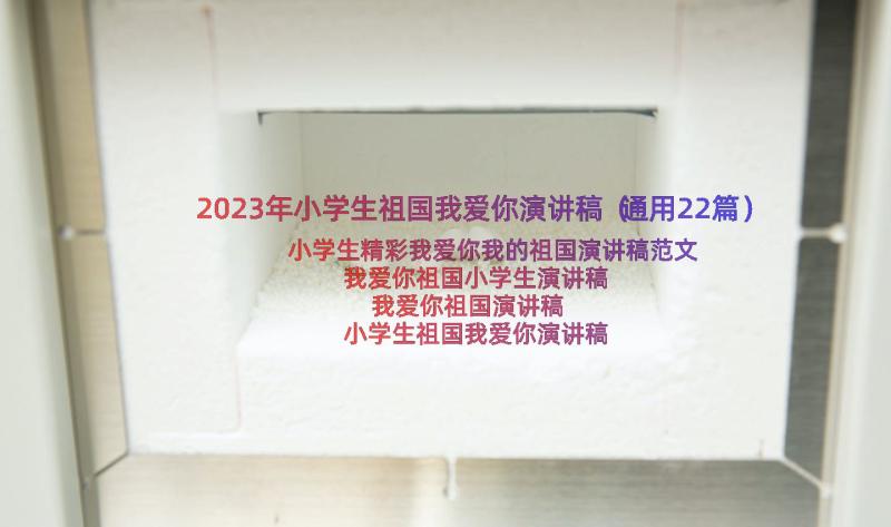 2023年小学生祖国我爱你演讲稿（通用22篇）