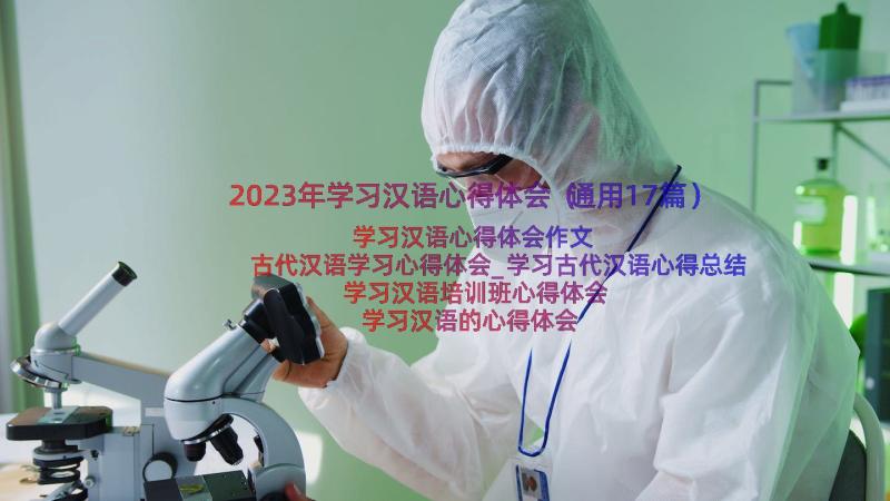 2023年学习汉语心得体会（通用17篇）