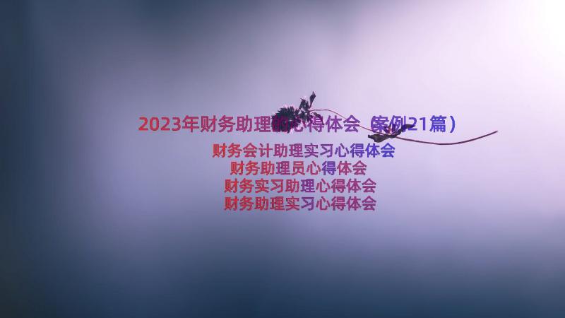 2023年财务助理的心得体会（案例21篇）