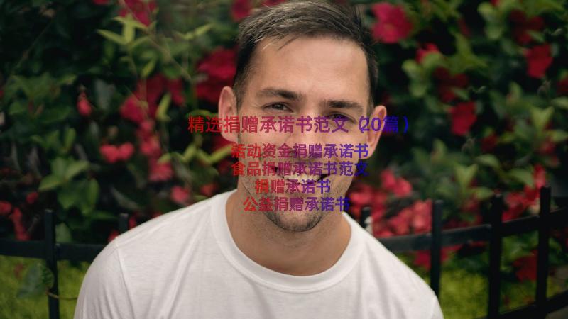 精选捐赠承诺书范文（20篇）