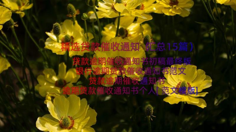 精选贷款催收通知（汇总15篇）