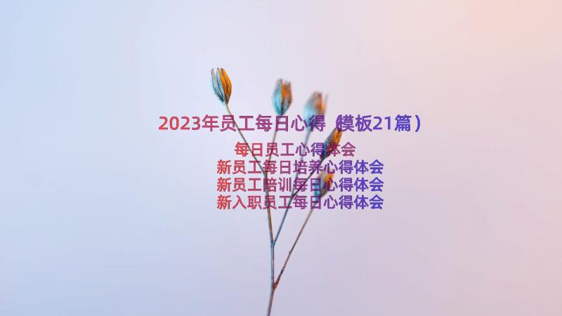 2023年员工每日心得（模板21篇）