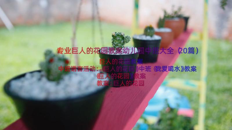 专业巨人的花园教案幼儿园中班大全（20篇）