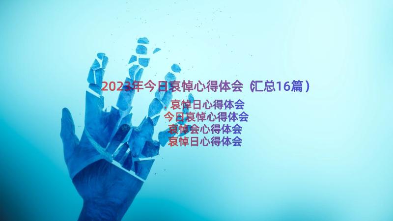 2023年今日哀悼心得体会（汇总16篇）