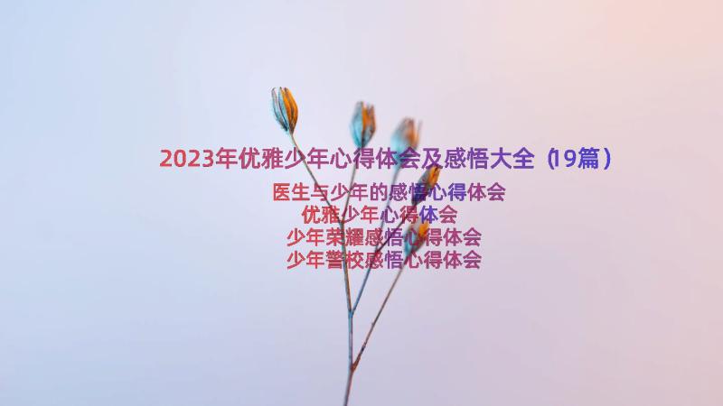 2023年优雅少年心得体会及感悟大全（19篇）