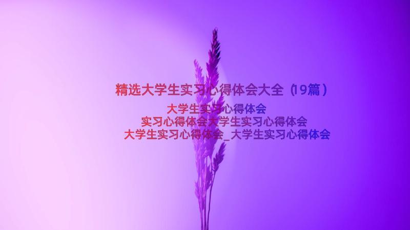 精选大学生实习心得体会大全（19篇）