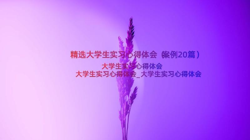 精选大学生实习心得体会（案例20篇）