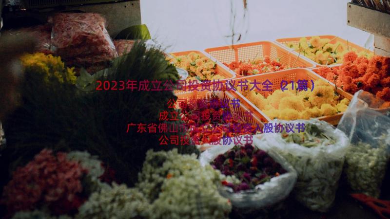 2023年成立公司投资协议书大全（21篇）