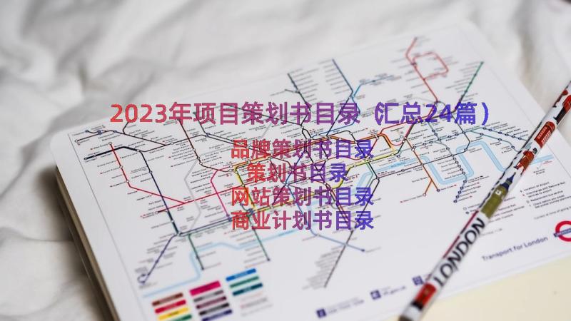 2023年项目策划书目录（汇总24篇）