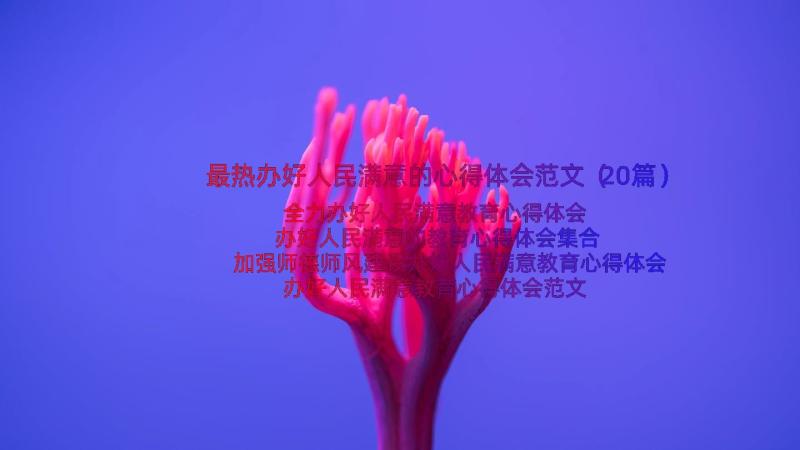 最热办好人民满意的心得体会范文（20篇）