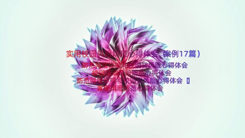 实用校园风险防范心得体会（案例17篇）