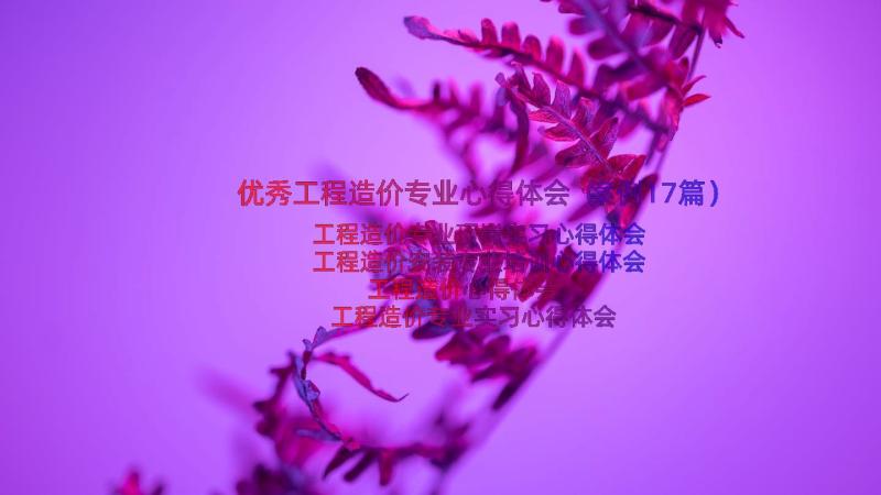 优秀工程造价专业心得体会（案例17篇）